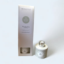 Load image into Gallery viewer, Scented Reed Diffuser, 100ml