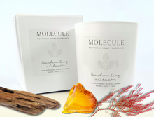 Load image into Gallery viewer, 3 Month Classic Candle Gift Subscription