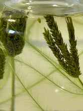 Load image into Gallery viewer, Floral Reed Diffuser, 200ml