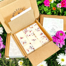 Load image into Gallery viewer, Box of Botanical Wax Melts