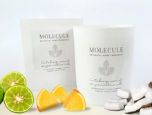 Load image into Gallery viewer, 3 Month Classic Candle Gift Subscription