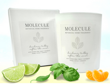 Load image into Gallery viewer, 3 Month Classic Candle Gift Subscription