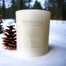 Load image into Gallery viewer, Winter by Molecule