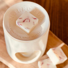 Load image into Gallery viewer, Wax Melt Fragrance Discovery Set