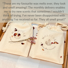 Load image into Gallery viewer, Wax Melt Monthly Letter Box Subscription
