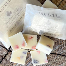 Load image into Gallery viewer, Festive Botanical Wax Melts
