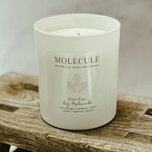 Load image into Gallery viewer, Winter by Molecule