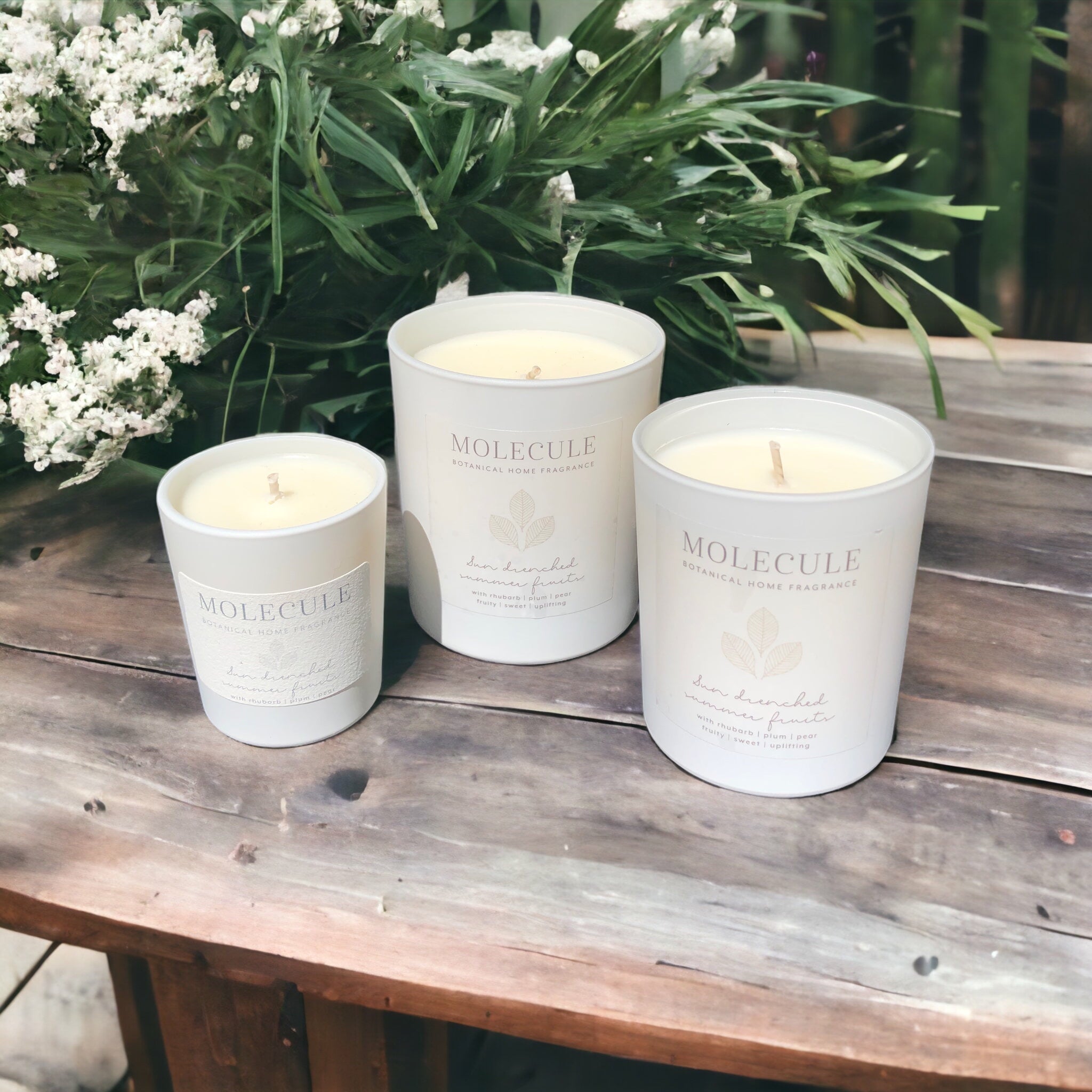 Scented Wax Melts Better Homes And Gardens Frankincense And