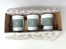 Load image into Gallery viewer, Festive Mini Trio Gift Set
