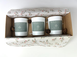 Festive Mini Trio Gift Set