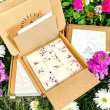 Load image into Gallery viewer, Box of Botanical Wax Melts
