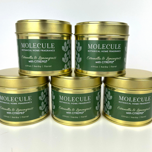 Citronella & Lemongrass Candle with CITREPEL