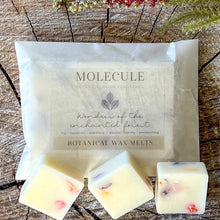 Load image into Gallery viewer, &quot;Snug as a Bug&quot; Botanical Wax Melts
